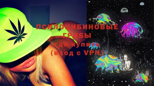 PSILOCYBIN Алексин